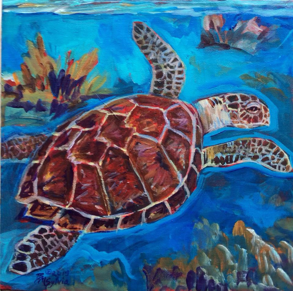 Hawksbill turtle