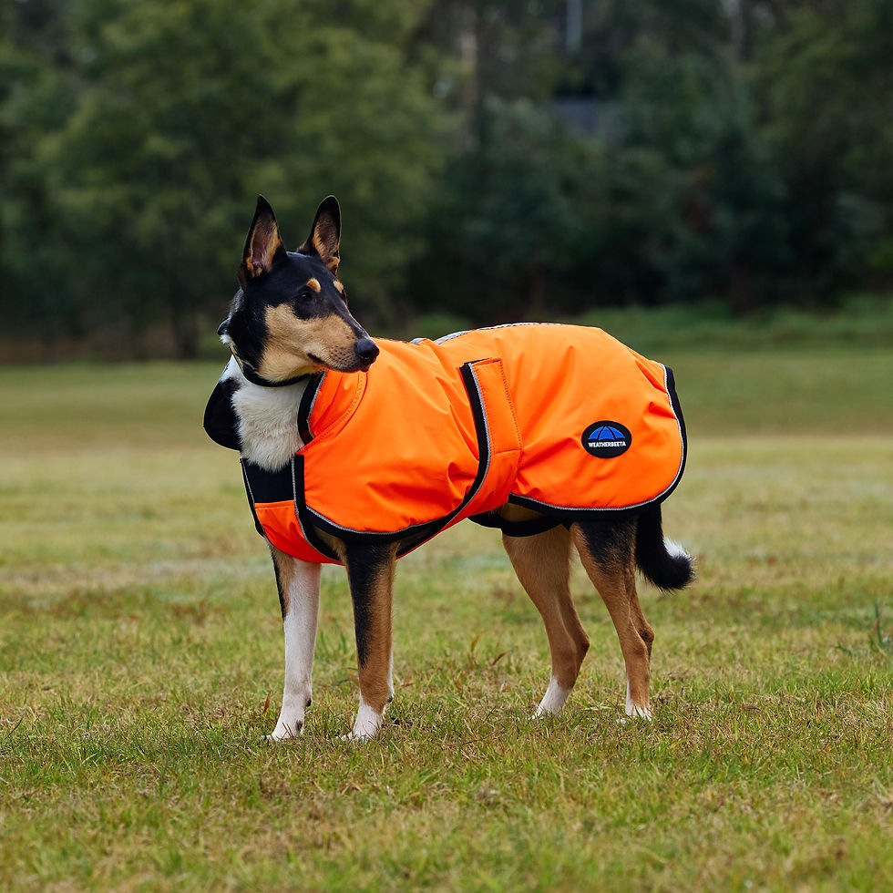 Thumbnail: Weatherbeeta Comfitec Reflective 300D Deluxe Showerproof Dog Coat
