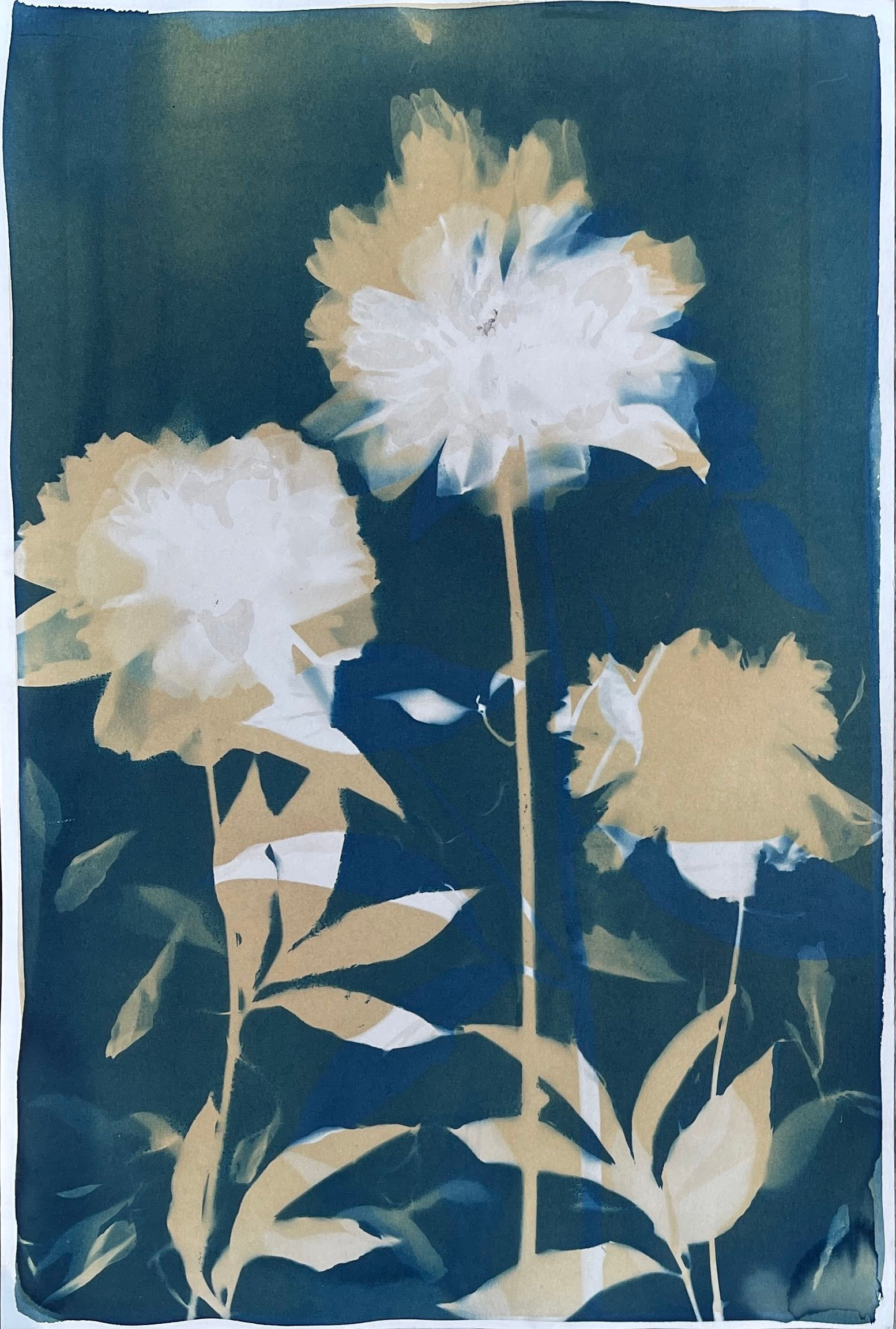 Peonies with Tea original