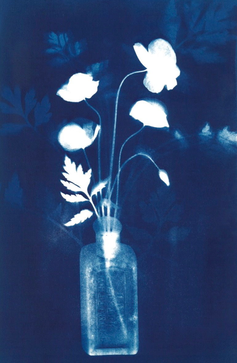 Thumbnail: Florabundance card set