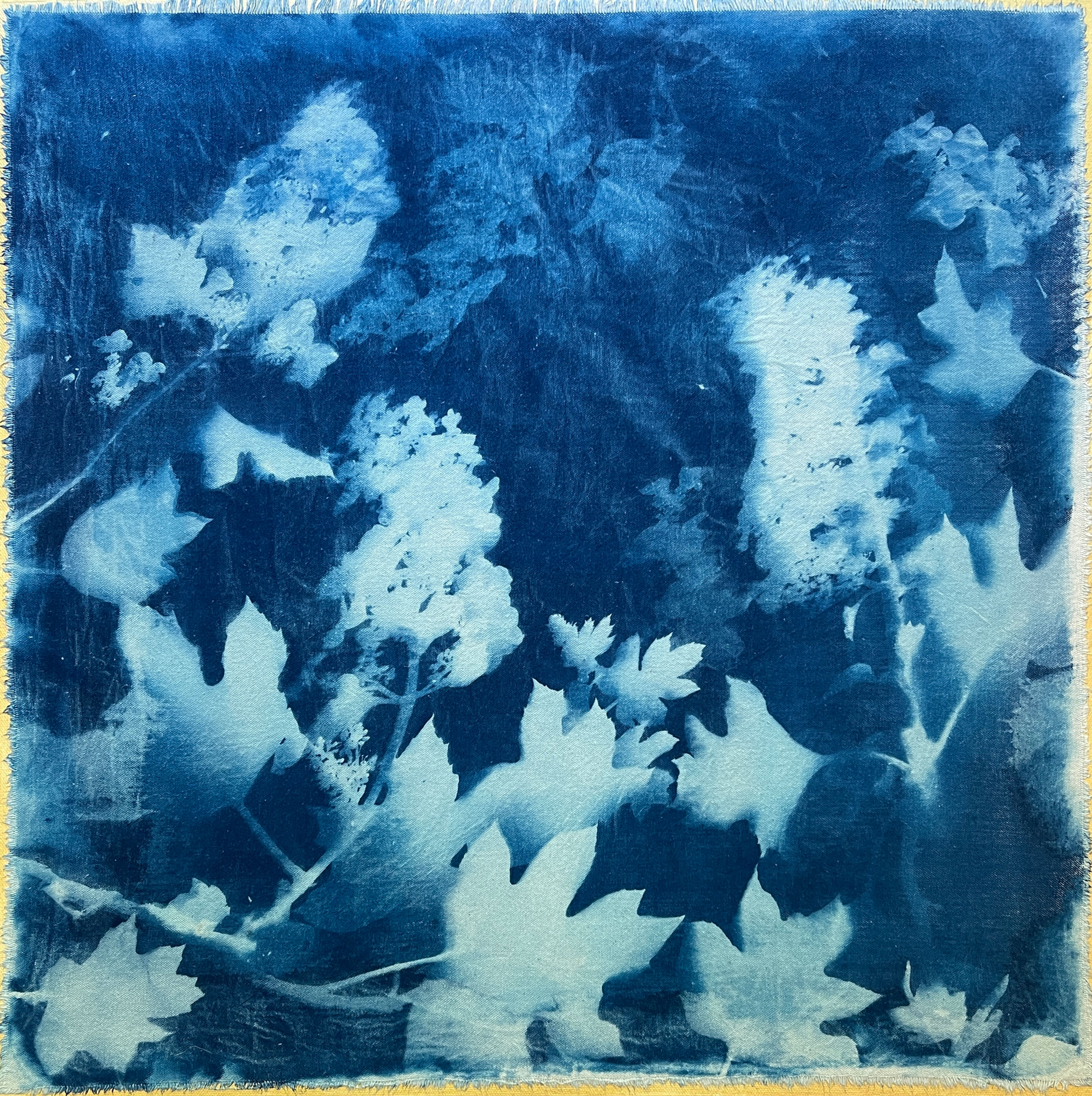 Oakleaf Hydrangea original cyanotype