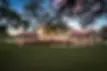arroyo luis.webp