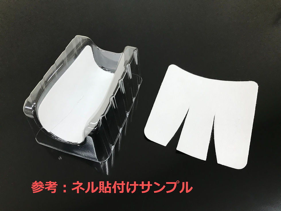 サムネイル： G：人工蛹室 DSPC 保湿用ネル　特大（1枚から購入可）
