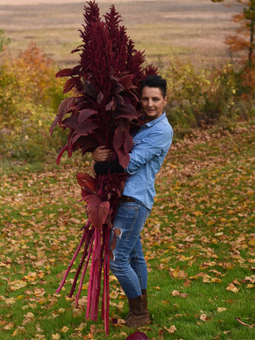 Our Fave Fall Cutting Flowers