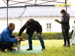 Popisná přehlídka a testování Ralsko, 10. 5. 2026