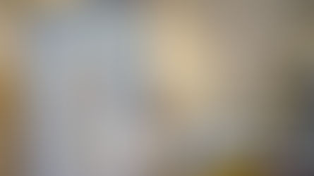 天水圍桃花源記(節錄)