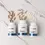Thumbnail: CellCore Liver Support Kit