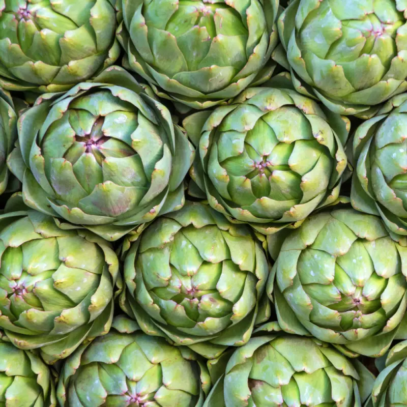 Thumbnail: Premier Research Labs - Biliven Artichokes