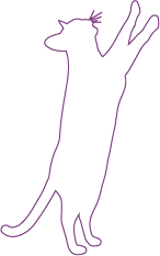 Cat 003-01_edited.png