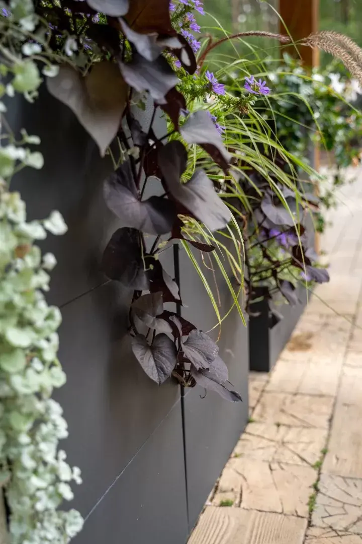 1002_Pflanzenblöcke_Zaun