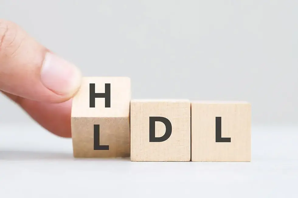 Cholesterin - HDL und LDL