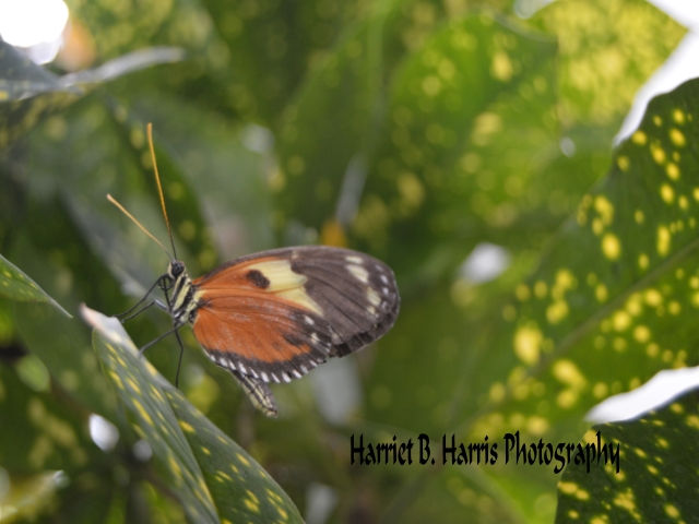 "Eyes All Around Us"