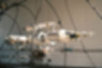 Spiritual Spaceship Orbit, 2026