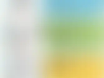 Rapid review of Robotic instruments