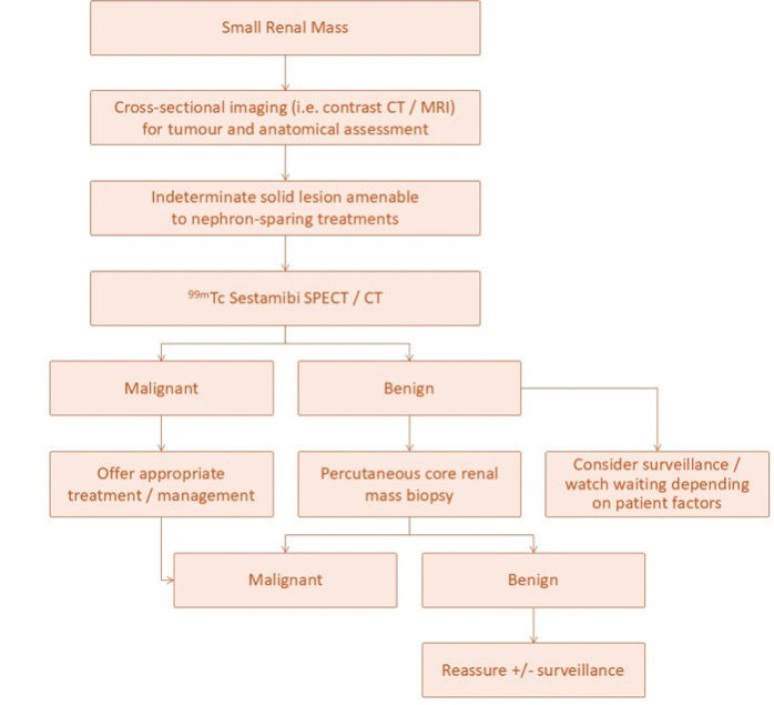 Proposed pathway for small renal masses