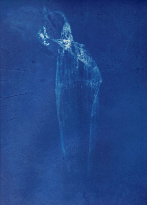 'Musika' Prints.