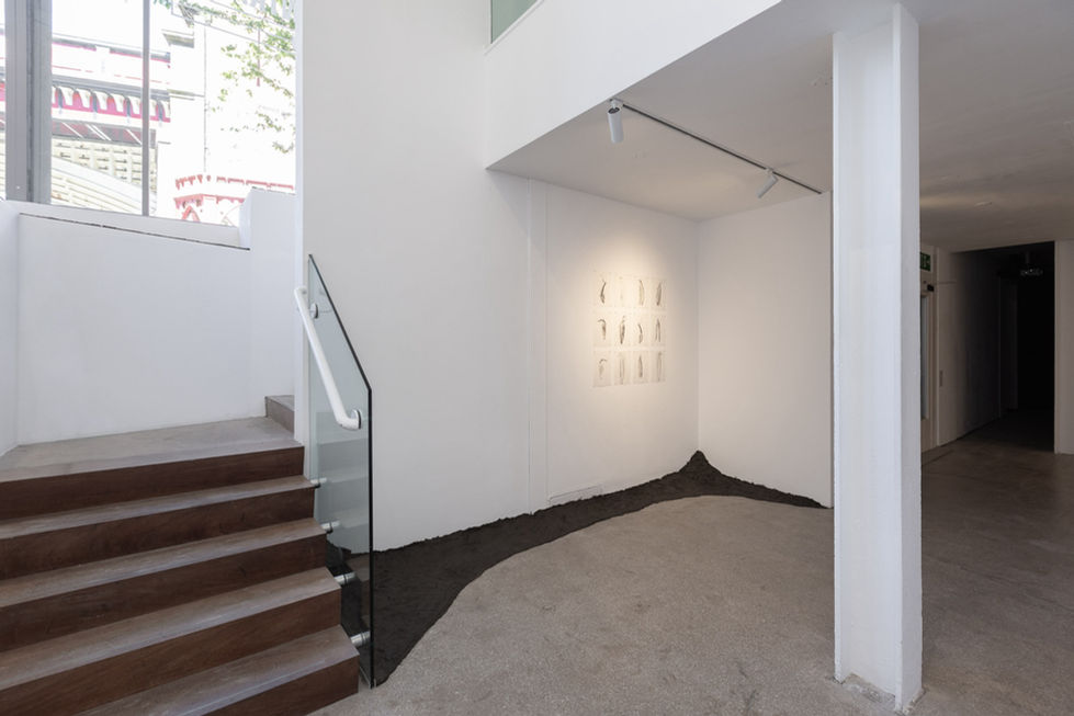 'Cracked Earth'
 Out Here at Castlefield Gallery (2026) 

Photo/ Jules Lister.