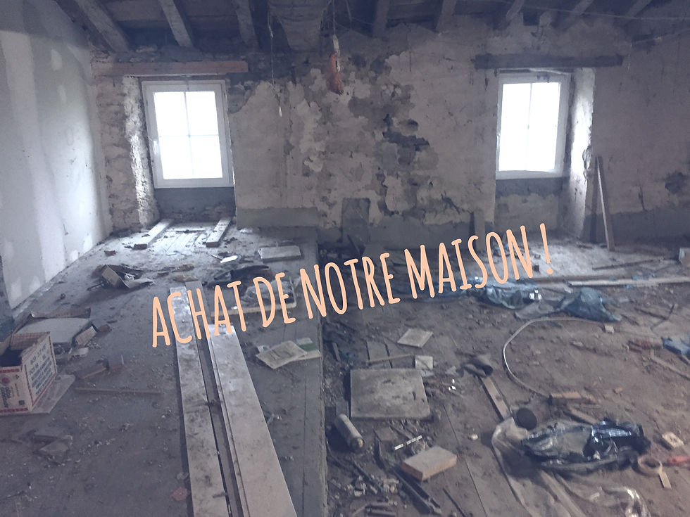 AVANT TRAVAUX : Visite de notre maison