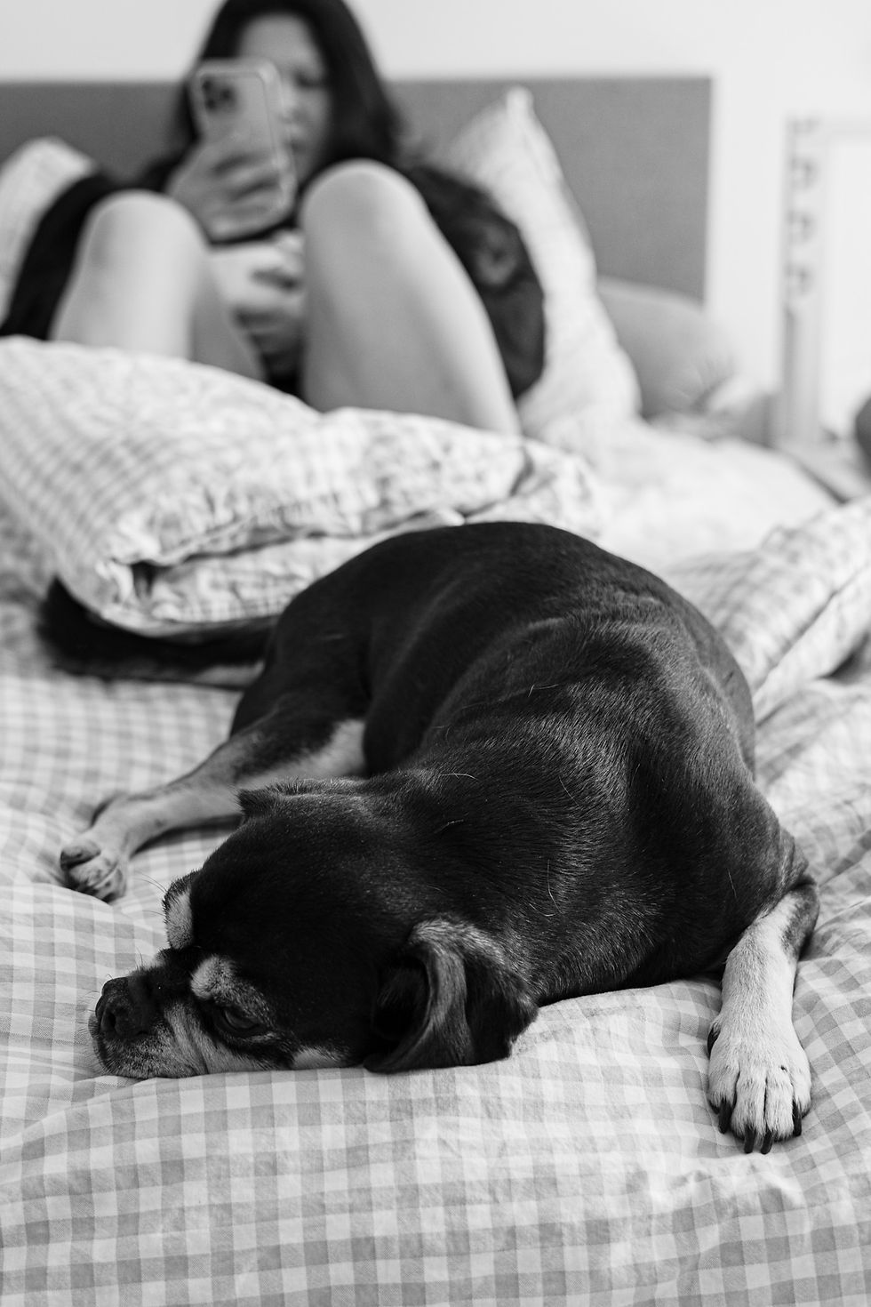 Hund liegt entspannt im Bett im Wochenbett zuhause, im Hintergrund ruht sich eine Mutter aus – Alltagsszene nach der Geburt in Wien