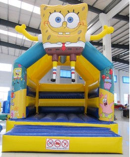 bouncer AQ02319 4x5m.jpg