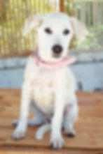 Maggie