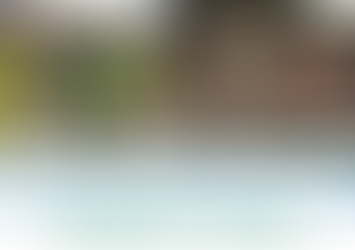 ¡Puerto Viejo a pie!