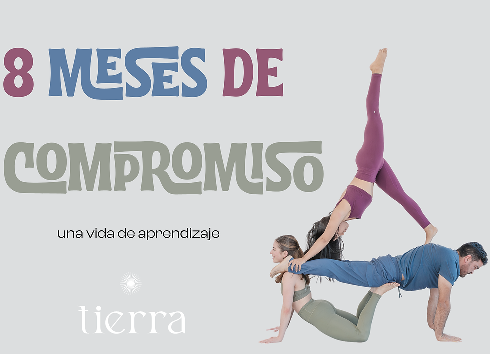 Sin título (A4 (horizontal)) (1).png