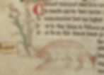 A manuscript detailing a sea stag