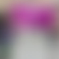 Women at the Altar in the Church of England