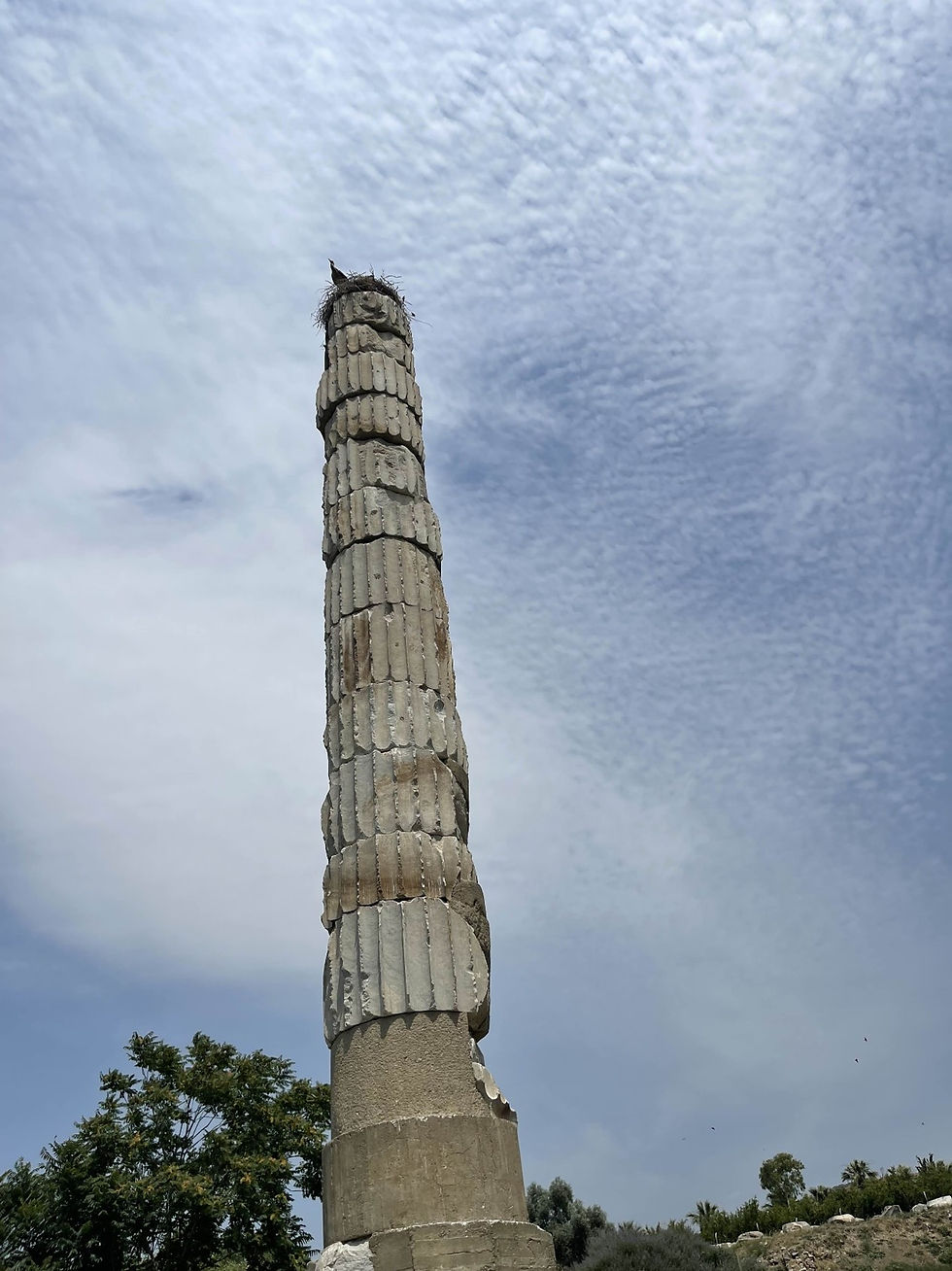 Photo shows a leaning, damage stone column rising into the sky in the centre of the photo. In the background is a bright blue sky with hazy clouds, and lush green trees complete the lower half of the image.