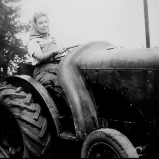 This black and white photograph shows a woman dressed in a shirt, land army dungarees and a headscarf driving a tractor in a rural setting.
