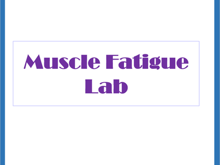 Muscular System Lab