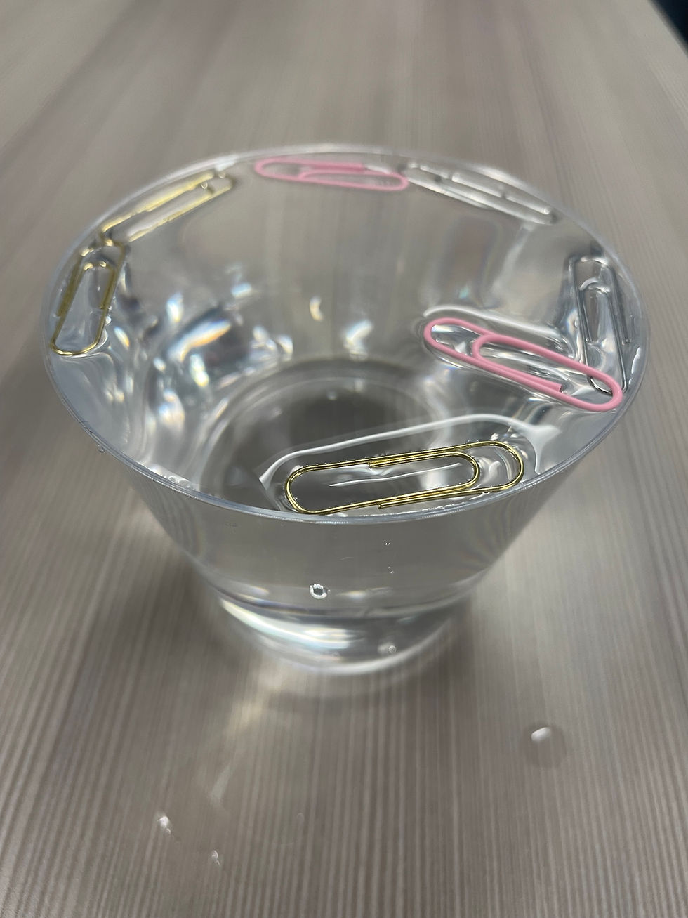 Floating Paperclips
