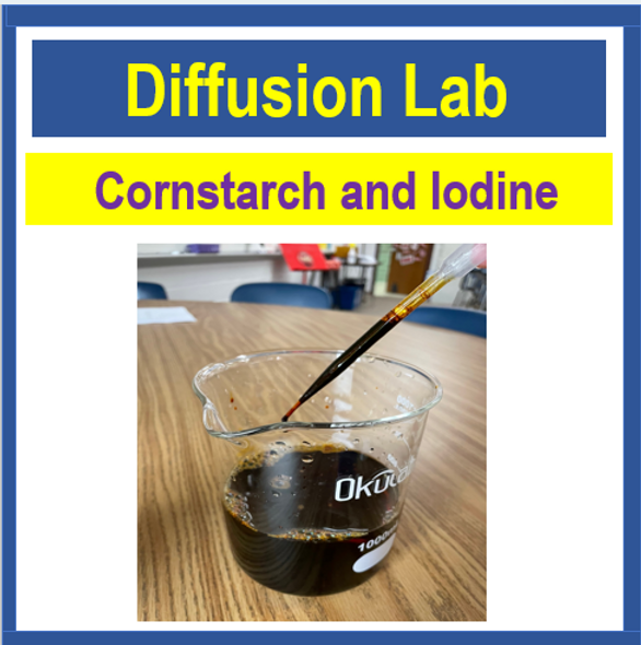 Cornstarch and Iodine Diffusion Lab