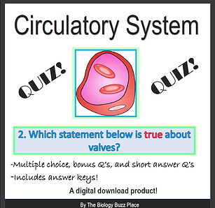 Screenshot (168).png