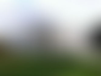 The 2025 H-1B Proclamation: Executive Power, Taxation, and Constitutional Limits 