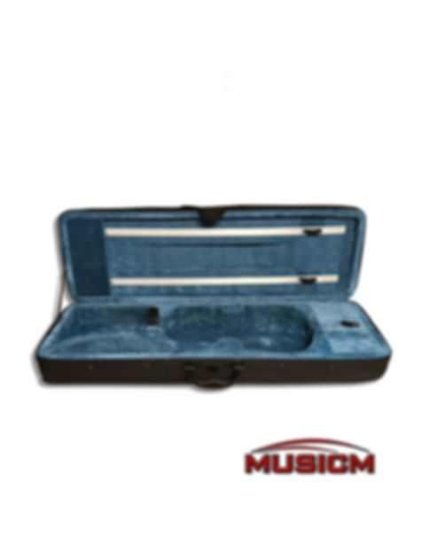 Violin Case
