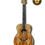 Miniature : Grote Acoustic Guitar
