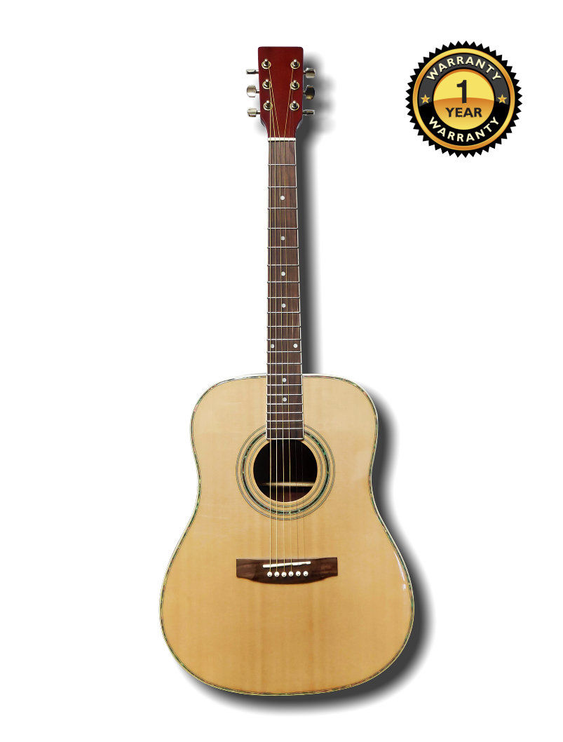 Acoustic Guitar 4193N