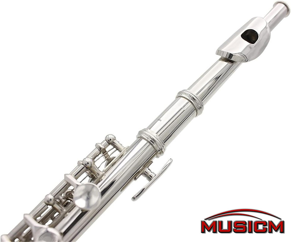 Thumbnail: Piccolo Silver Plated