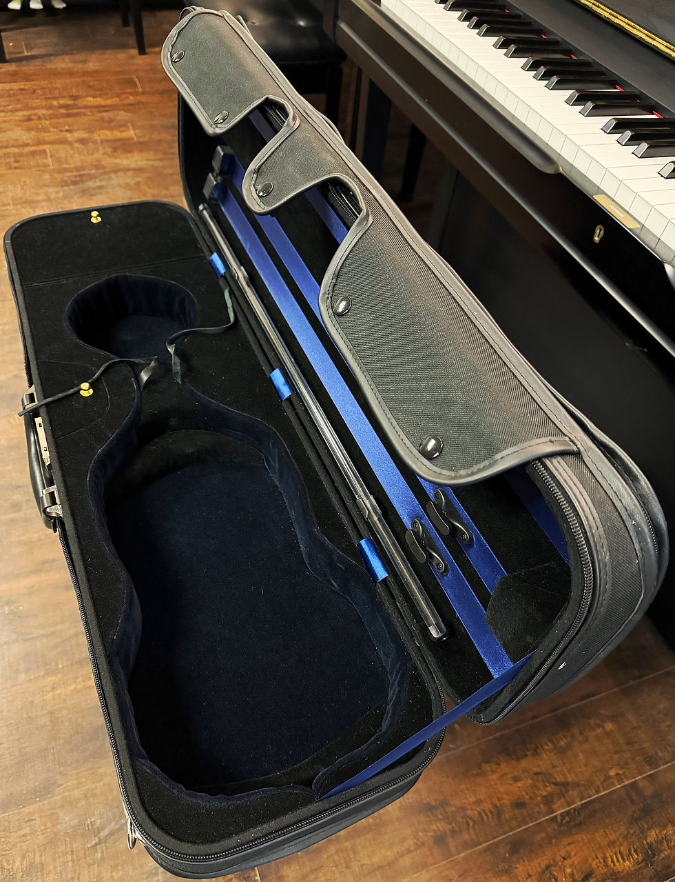 Thumbnail: Eastman Violin Case