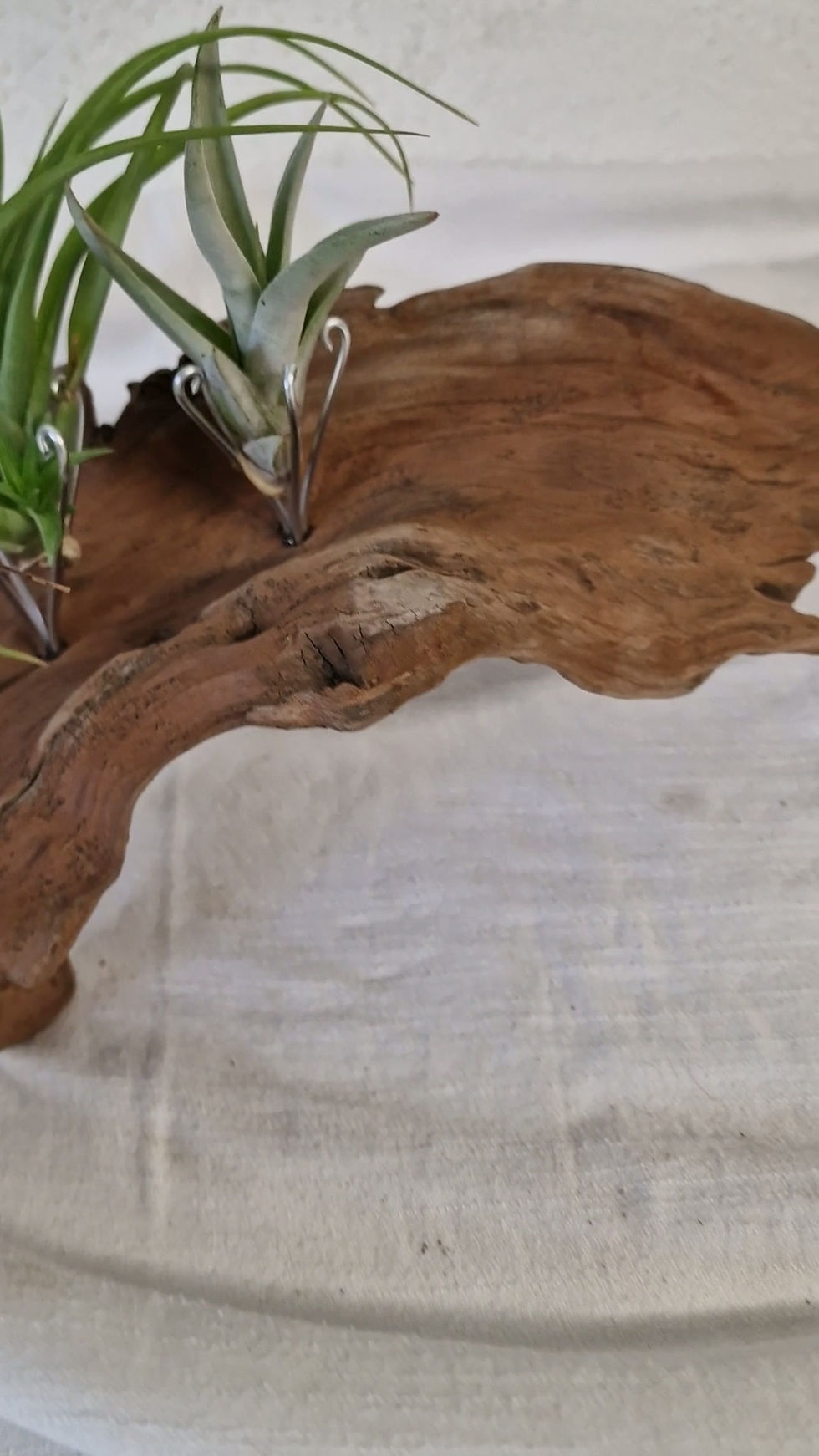 Miniaturbild: Treibholz Skulptur Video