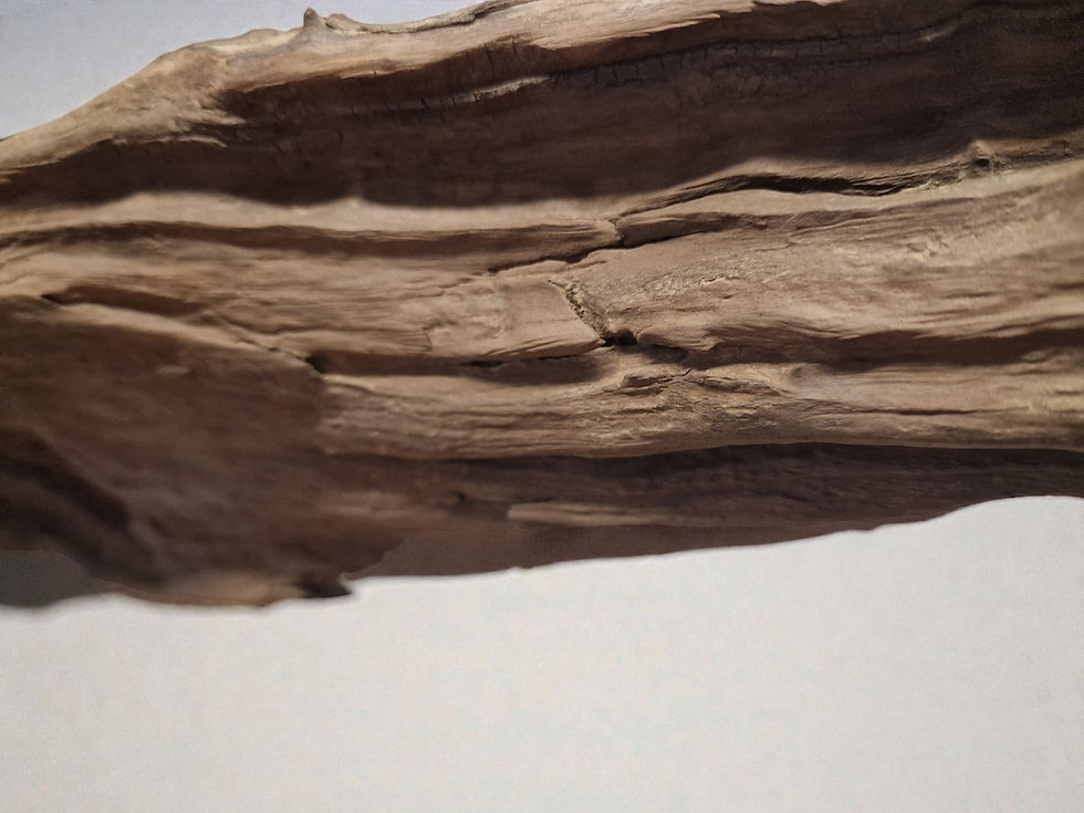 Thumbnail: Hängelampe Pinien Loft nah