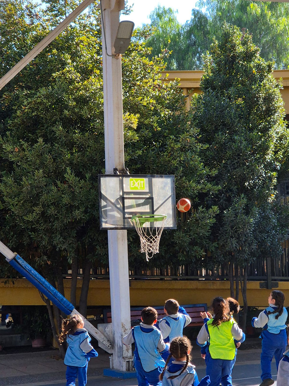 DÍA DE LA ACTIVIDAD FISICA