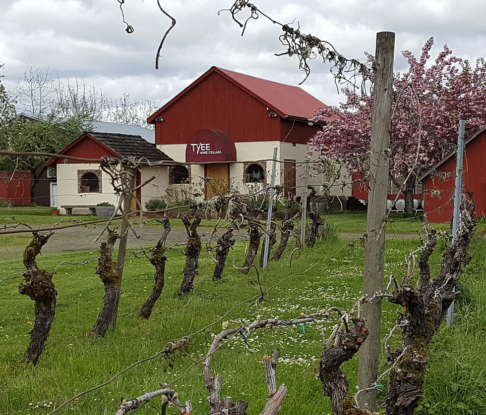 Open Weekends Noon to 5pm and Memorial Day Monday