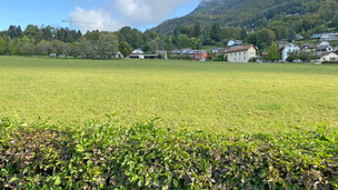 Les prairies autour du Château