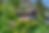 DJI_0852.png