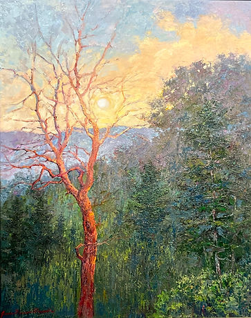 We Greet The Sun.jpeg