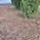 Thumbnail: Bulk Mulch NATURAL