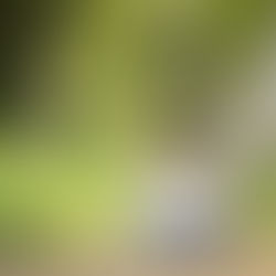 ファーストシューズでおでかけ